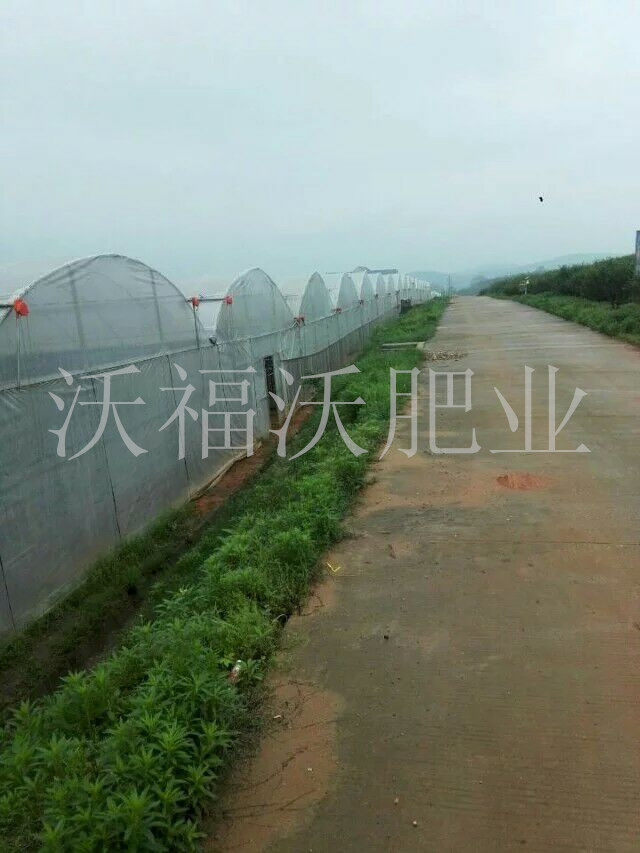 與河南種植大棚建立長(zhǎng)期合作關(guān)系